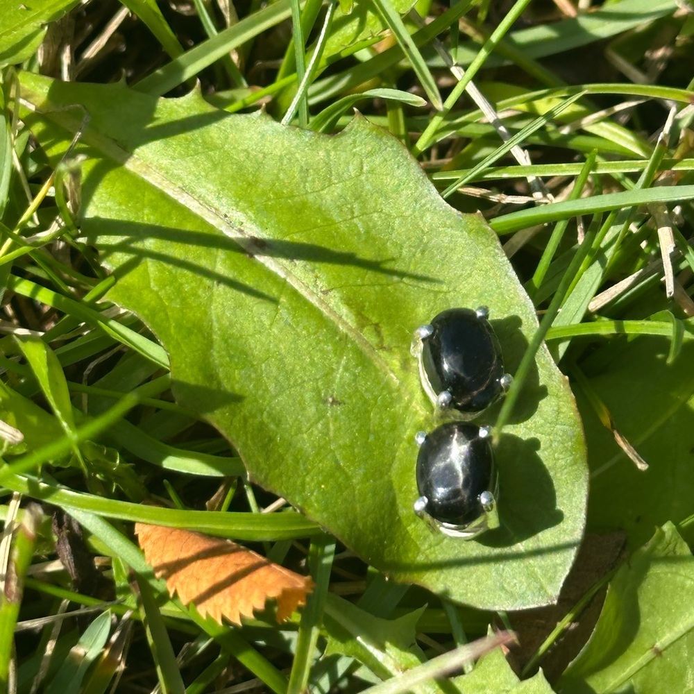 Hold for @venusroseerum B Sterling Silver Black Star Diopside Stud Earrings